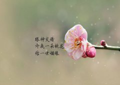 催桃花最灵的方法