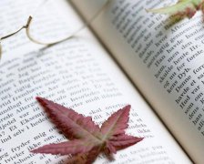 2017年给客户的生日祝福语