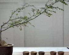 2017年夏天高温发给客户的消暑短信
