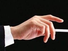 生命线图解大全女性