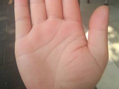 男人手相事业线分叉