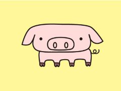 属猪的今年多大2018年