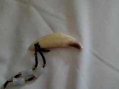 佩戴狗牙齿辟邪吗