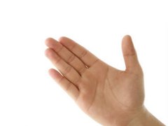 男人假断掌纹如何