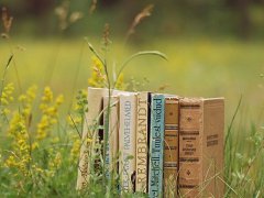 4个字的游戏名字女生唯美伤感