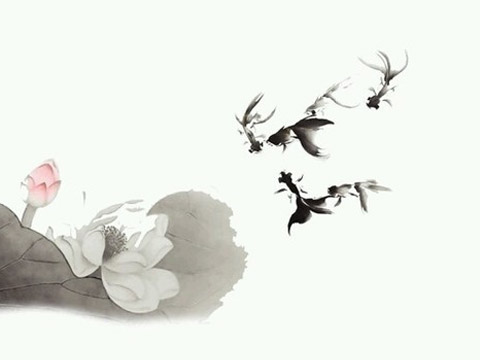 带木字旁的字女孩取名2017属鸡草字头的女孩