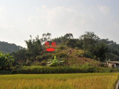 阴宅寻龙的五种方法