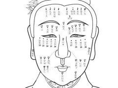 面相十二宫图解之命宫详解