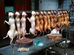 生意人为什么不吃狗肉