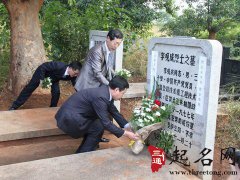 扫墓鲜花选择什么好