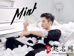 教你看明星的八字命理