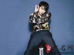 属鼠人的职场生存之道