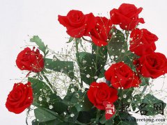 生辰八字中蕴含了哪些信息