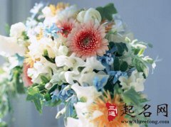 哪些命格的男生最疼爱老婆