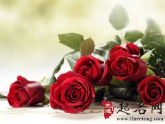 亥时出生的人命运解析