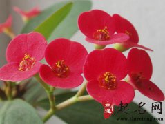 命理分析哪些人容易患抑郁症