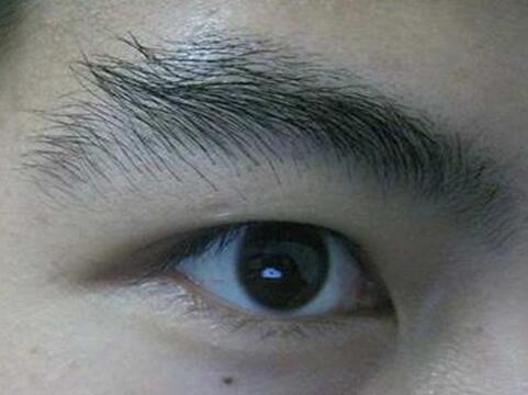 扫把眉是好还是坏 起名网