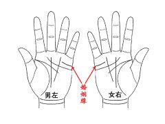 婚姻线分叉代表什么