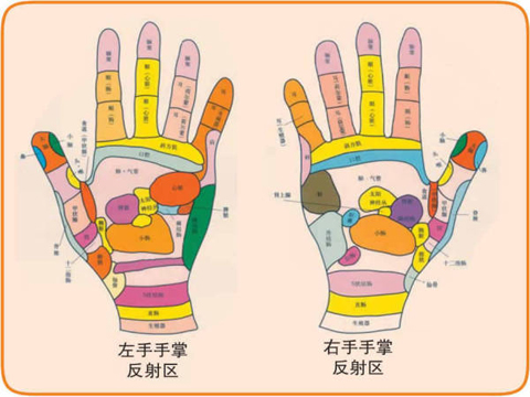 看手相是男左女右吗 起名网 看手相是男左女右吗 起名网