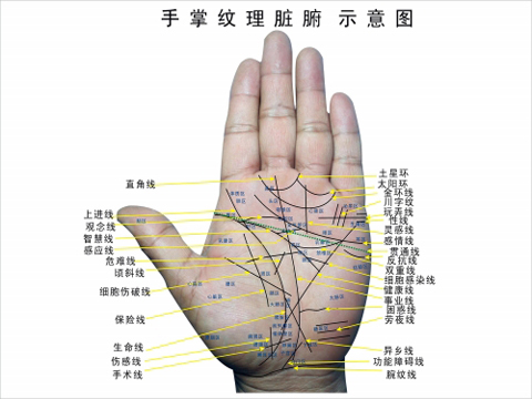 坟墓挖出千年活僵尸__还津阁