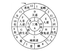 十二因缘六道轮回图