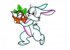 1987年属兔的人2018年运程