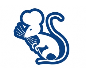 属鼠2018年运势及运程大全