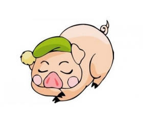 2019年属猪男士要佩戴什么饰物好