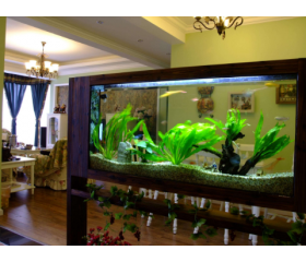 2019年鱼缸摆放什么位置