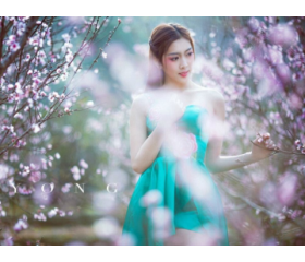 2019年桃花方位在哪里