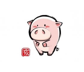 1995年属猪2019年本命年要注意什么