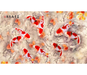 最富贵的12种手相特征,对照看看有没有你