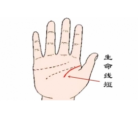 生命线短会短命吗，生命线短的秘密