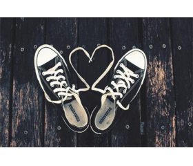 属马的和什么属相最配，你们适合在一起吗？