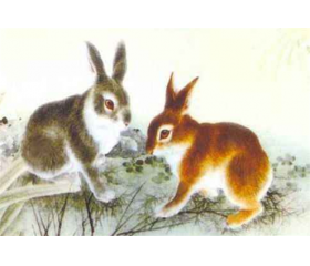 属兔的2019年哪几月桃花大旺