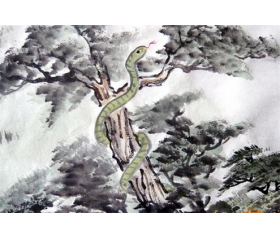 生肖属蛇的女人旺夫吗，她们命运如何