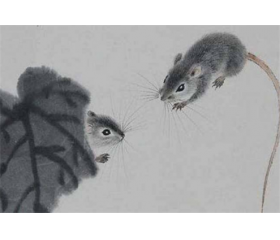 属鼠的和什么属相合伙做生意利于求财合财