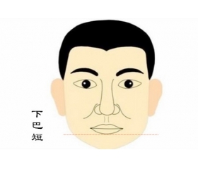 面相解读下巴短的人命运到底如何