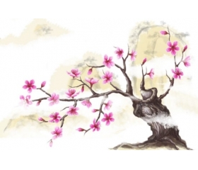 2019年桃花开得最旺的生肖会是谁