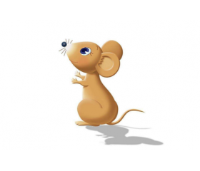 1960年属鼠人2020年运势详解