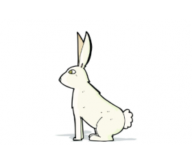 2011年属兔人2020年运势详解