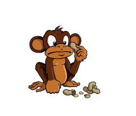 2004年属猴人2020年运势详解