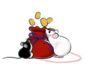 2020年属鼠本命年要送什么礼物