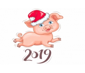 为什么说2019年的猪是百年难遇，从命理解析