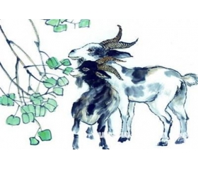 十羊九不全是什么意思，十羊九不全的来历是真的吗