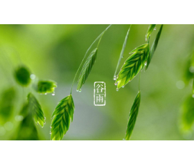 谷雨如何养生，这样做能延年益寿