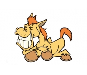 66年出生属马人大劫年是什么时候