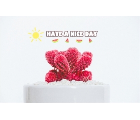 <b>宝宝取名字大全2020最新版，男孩女孩这样取名更好听</b>