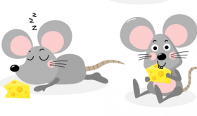 1972年出生的属鼠男人一生运势，随机应变，人生顺遂