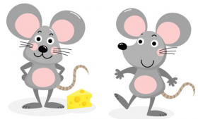 1972年出生的属鼠女人一生运势 感情之路波折不断